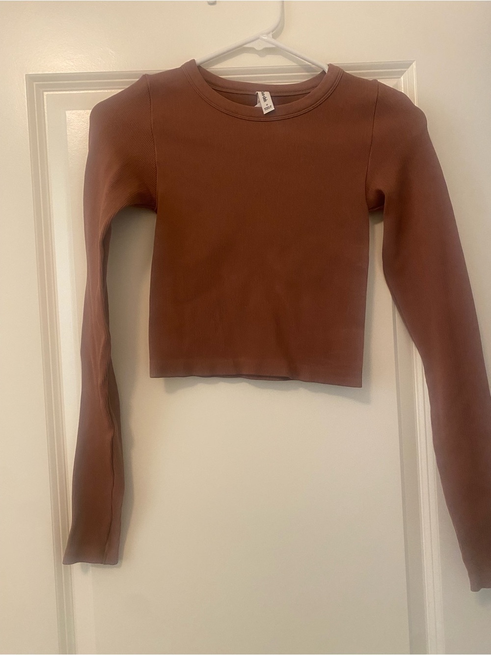 Aritzia Chocolate Sorbet Long-Sleeve Crop Top